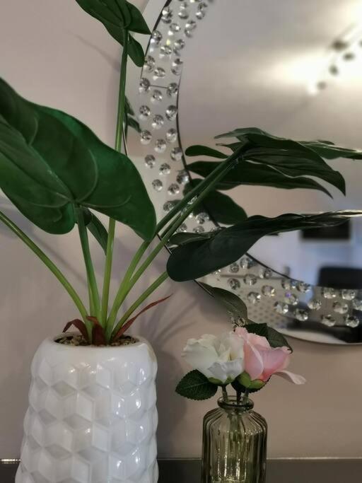 B'Dazzled Flat, Castletown Apartman Thurso Kültér fotó